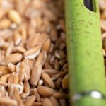 Bolígrafo caña de trigo Prodox