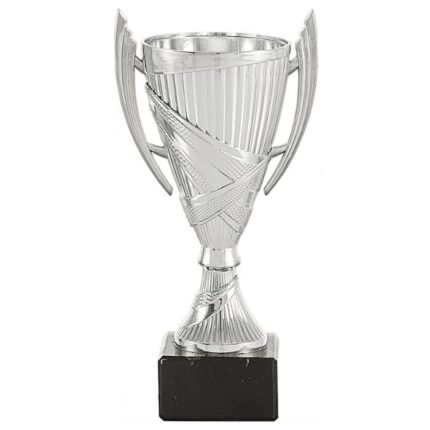 Trofeo de participación Thunder