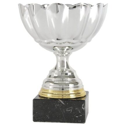 Trofeo clásico Nirvana