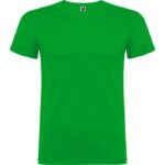 Camiseta unisex Beagle verde grass