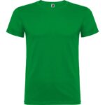 Camiseta unisex Beagle verde kelly