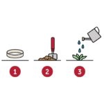 Lanyard de papel con semillas