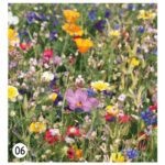 confeti de papel de semillas