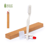 Set dental con cepillo de dientes