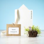 Identificador semillas Binem