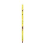 BIC Evolution Classic lápiz