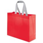 Bolsa non-woven Yucatan pequeña