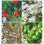 Posavasos de papel de semillas