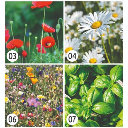 Posavasos de papel de semillas