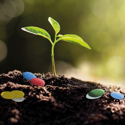 confeti de papel de semillas