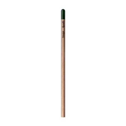 lapiz bic sprout