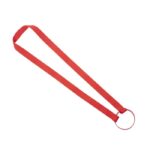 Lanyard frinly